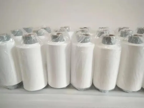 Mce Filter Membrane for Prefiltration Filter Paper Membrane Disc White Membrane Ca Membrane Membrane Filter Cartridge RO Membrane Filter Filter Disc PTFE Filter